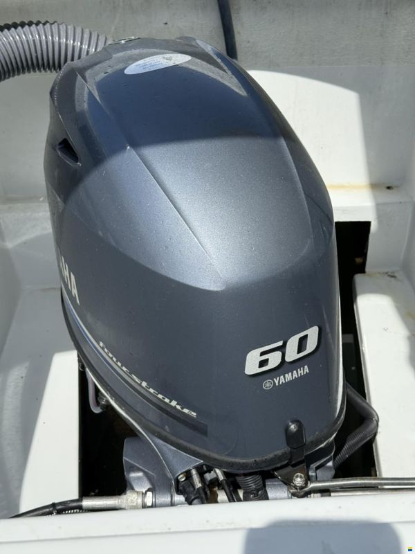 Corsiva Tender 690
