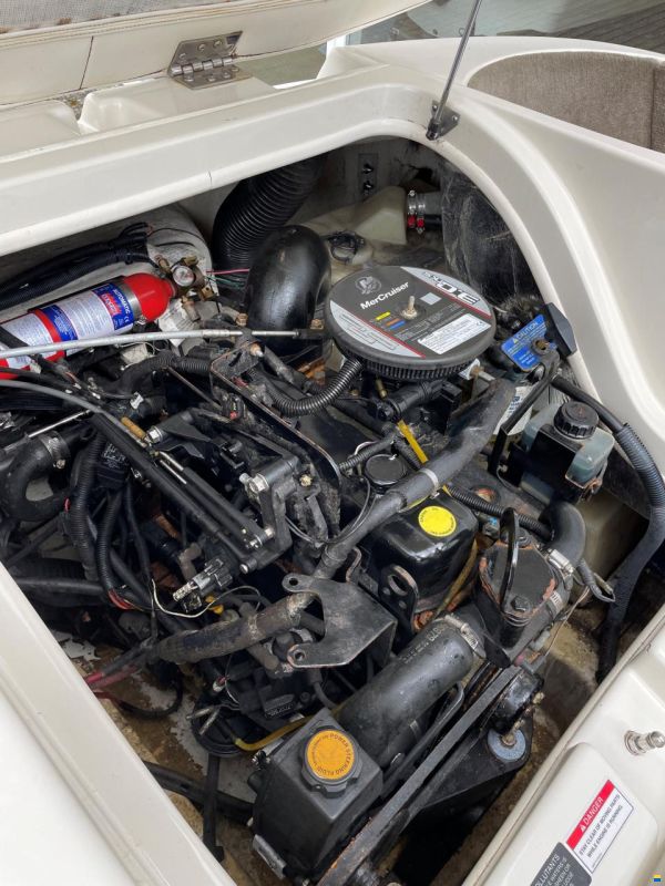 SeaRay 175 Sport Bowrider med 135 hk Mer