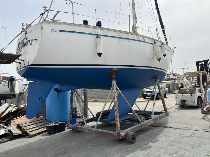 Nordcantieri Panda 31