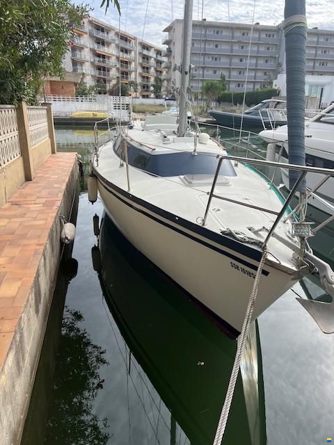 Dufour Durfour 29