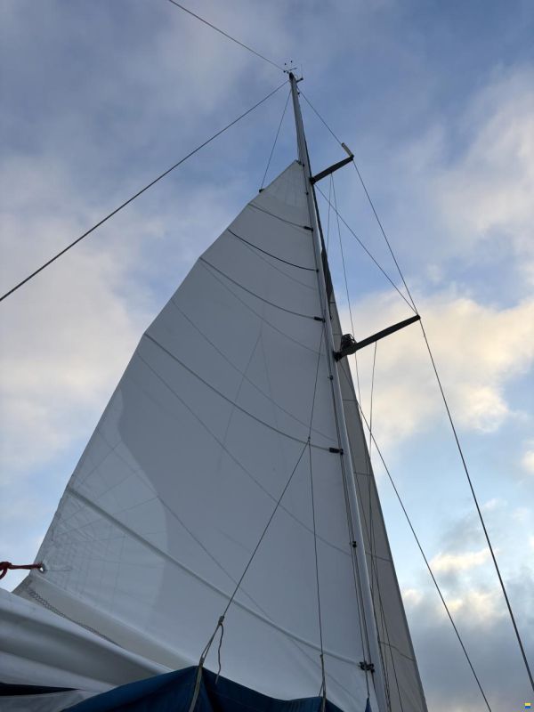 Elan 431