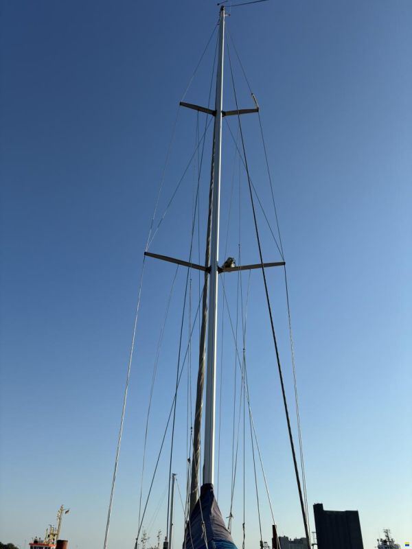 Elan 431