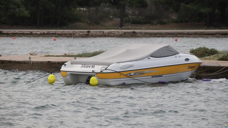 Stingray 195 CX