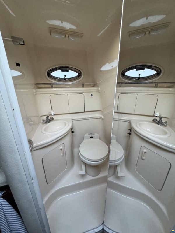 Sea Ray 280/315