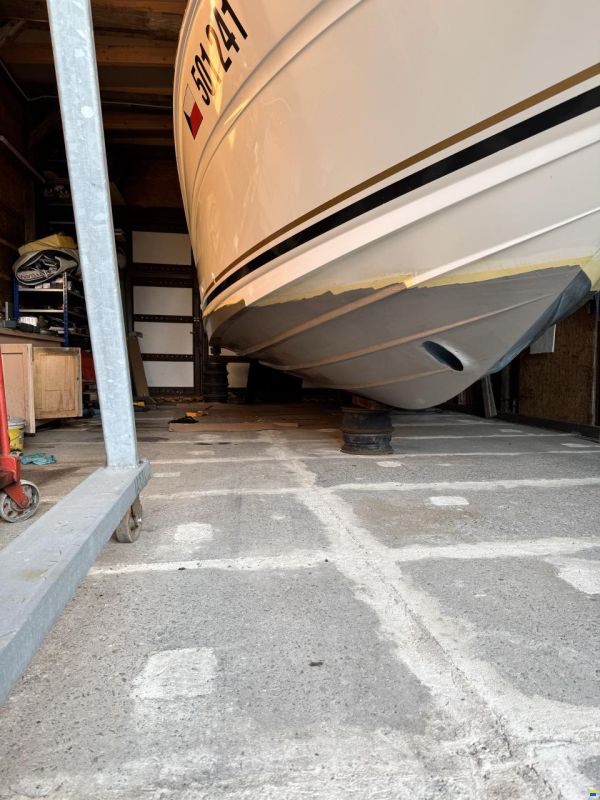 Sea Ray 280/315