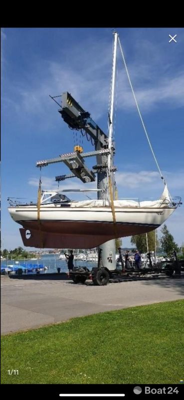 Hallberg-Rassy Monsun 31