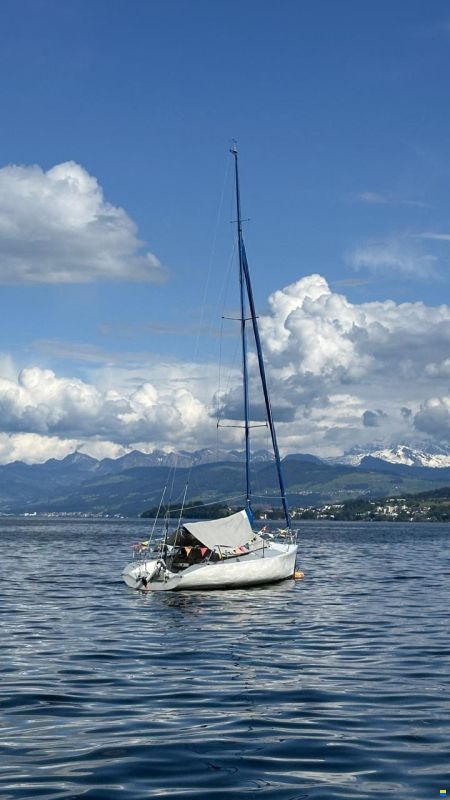 Maxi Dolphin Dolphin 81