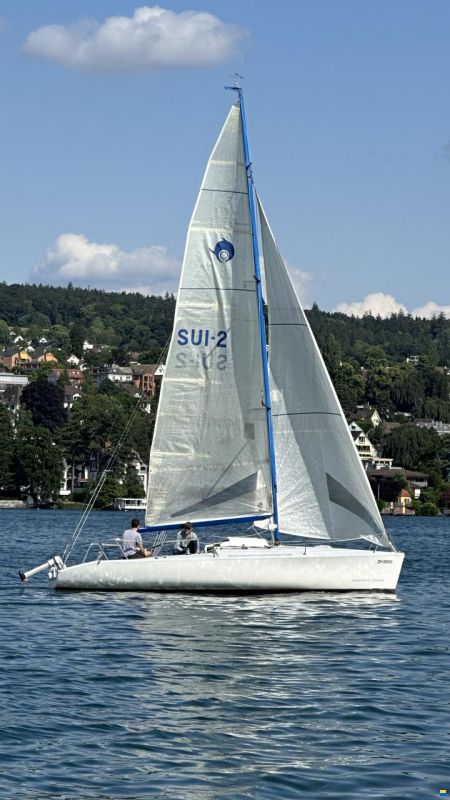 Maxi Dolphin Dolphin 81