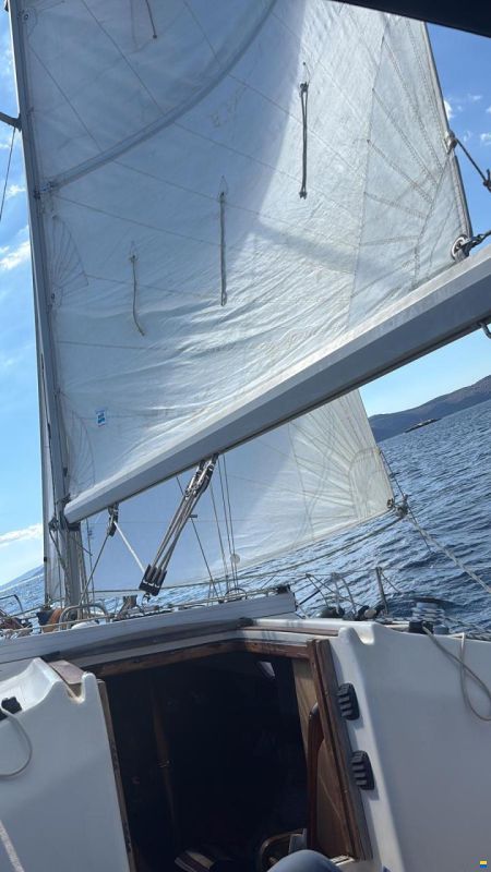 Bavaria 320