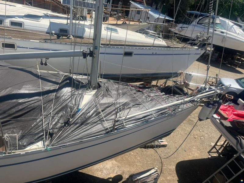 Bavaria 320