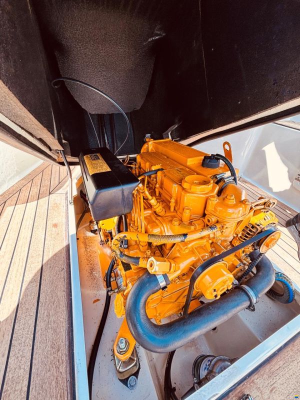 Interboat 25
