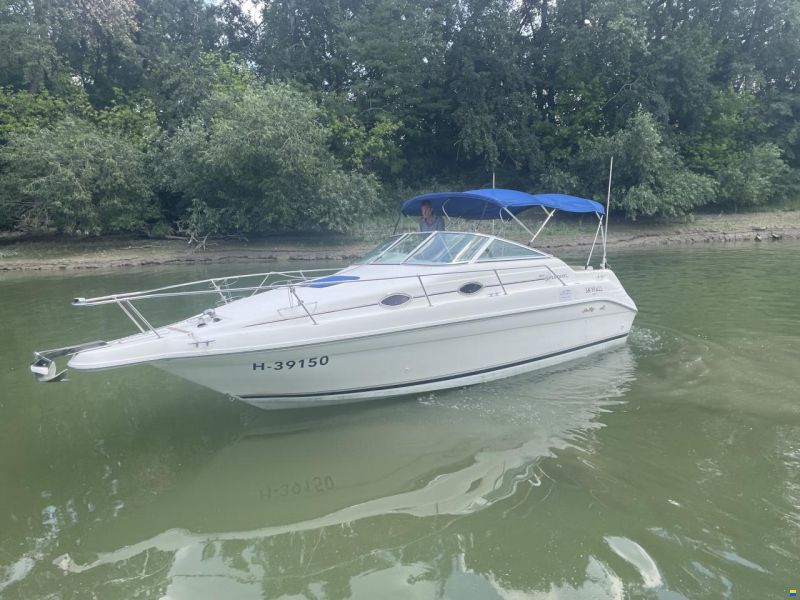 Sea Ray 250 DA Sundancer