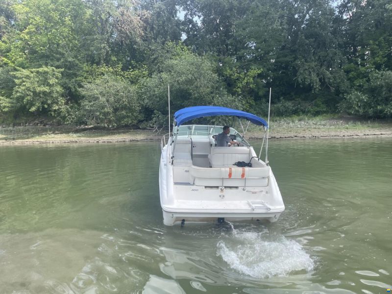 Sea Ray 250 DA Sundancer