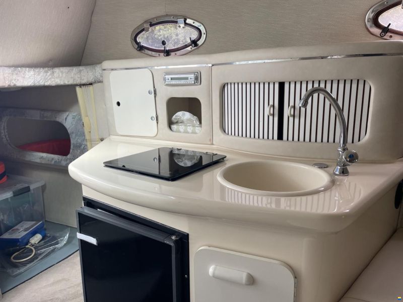 Sea Ray 250 DA Sundancer