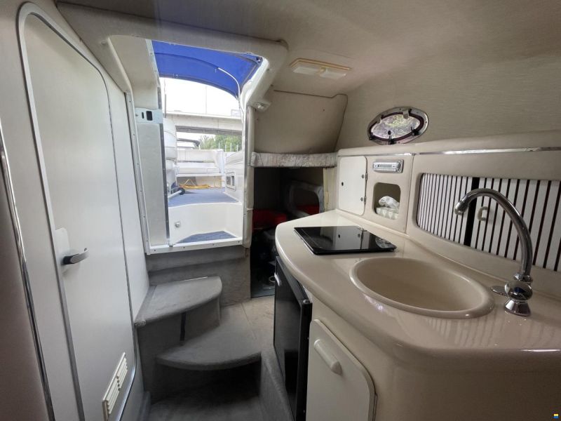 Sea Ray 250 DA Sundancer