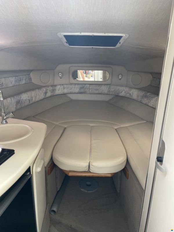 Sea Ray 250 DA Sundancer