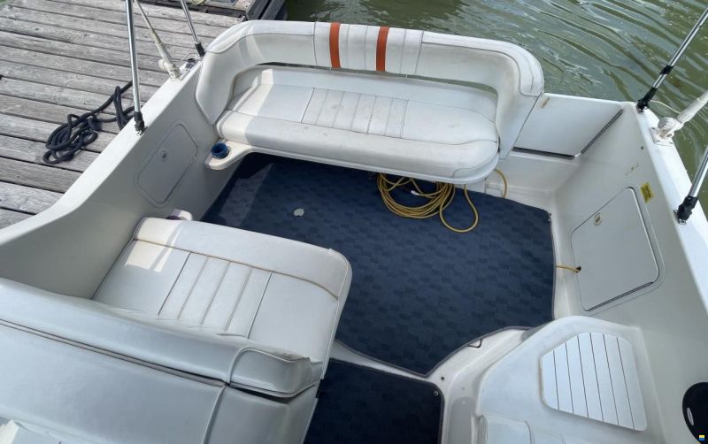 Sea Ray 250 DA Sundancer