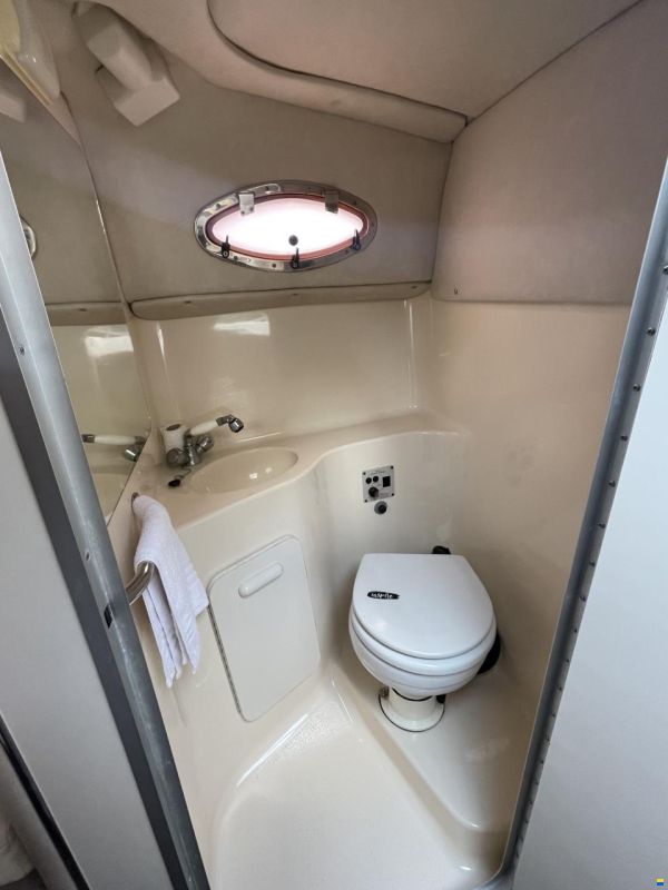 Sea Ray 250 DA Sundancer