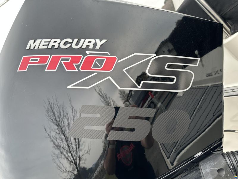 Sea Ray 230 Outboard