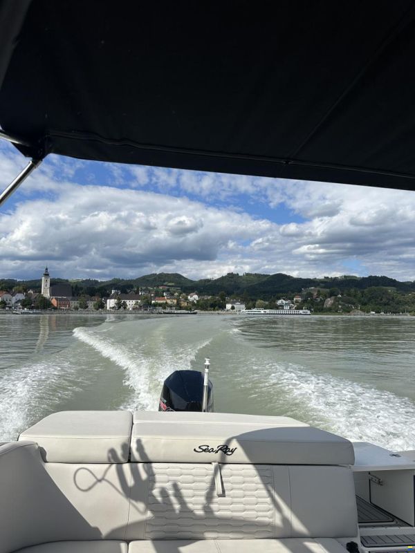 Sea Ray 230 Outboard