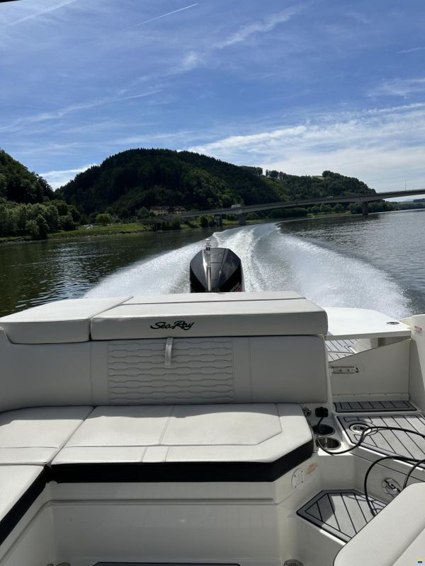 Sea Ray 230 Outboard