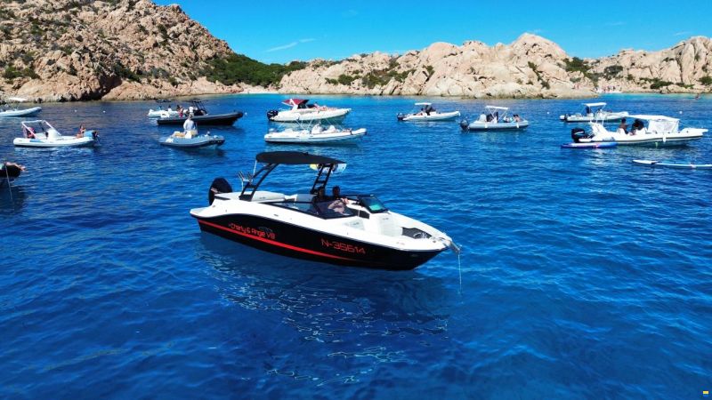 Sea Ray 230 Outboard