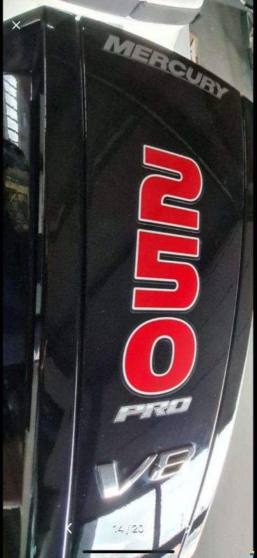 Sea Ray 230 Outboard