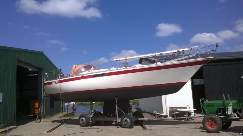 36`Segelyacht Flushdeck, Einzelbau