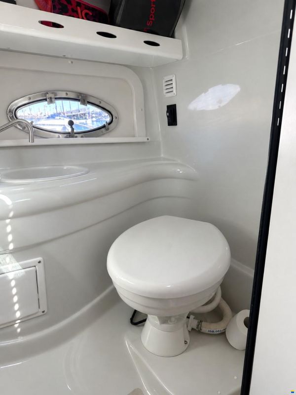 Crownline 266 SC