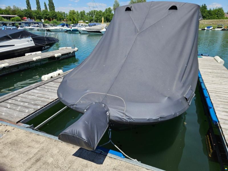Sea Ray SDX 270