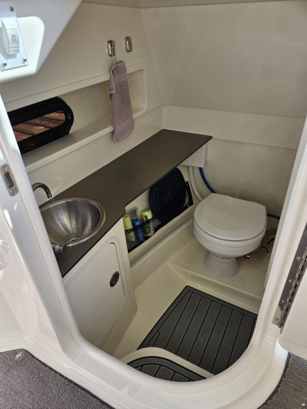 Sea Ray SDX 270
