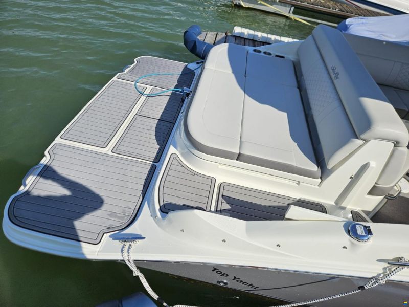 Sea Ray SDX 270