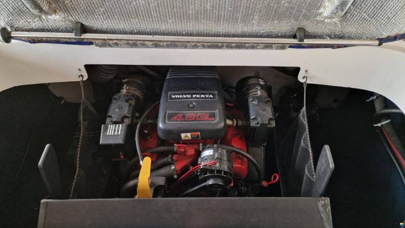 Campion LS625