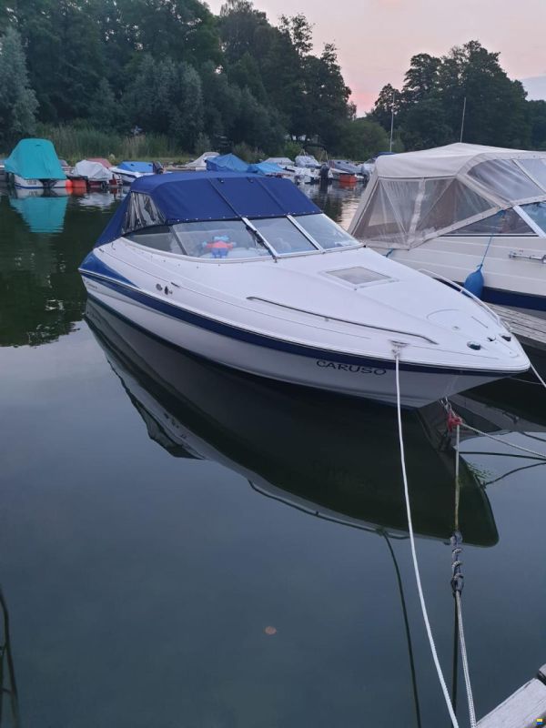 Campion LS625