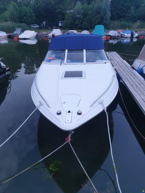 Campion LS625
