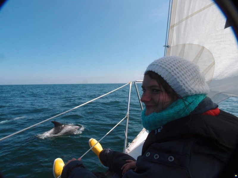 Spirit 28