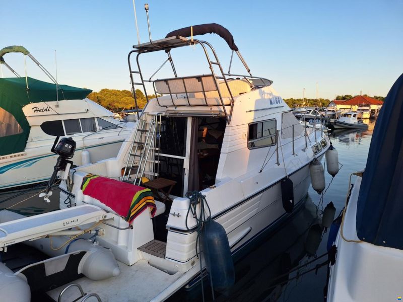 Sealine Fly 305