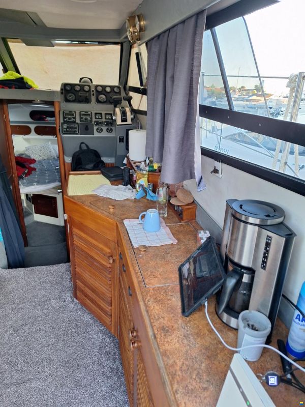 Sealine Fly 305