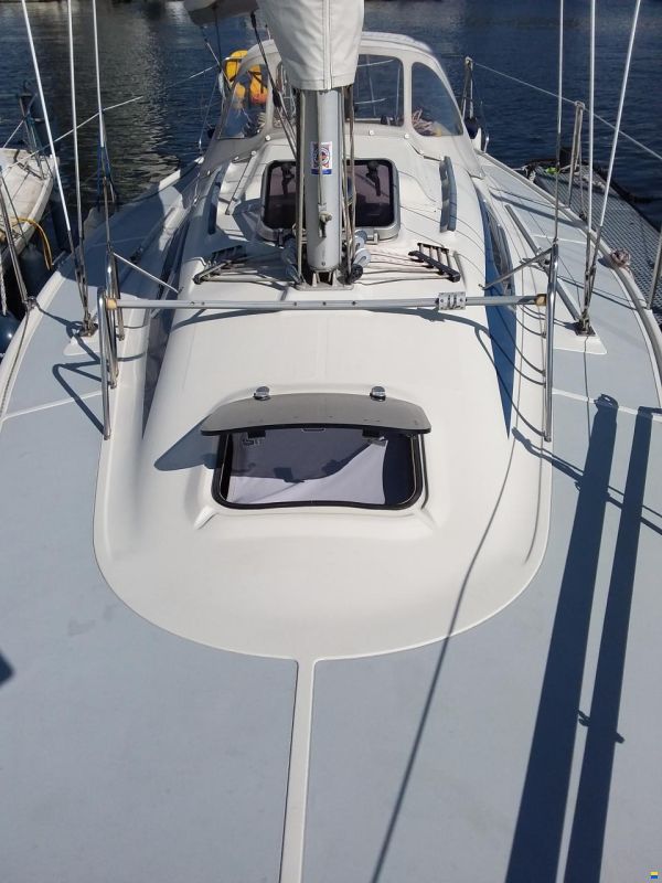 Dehler 31 Top