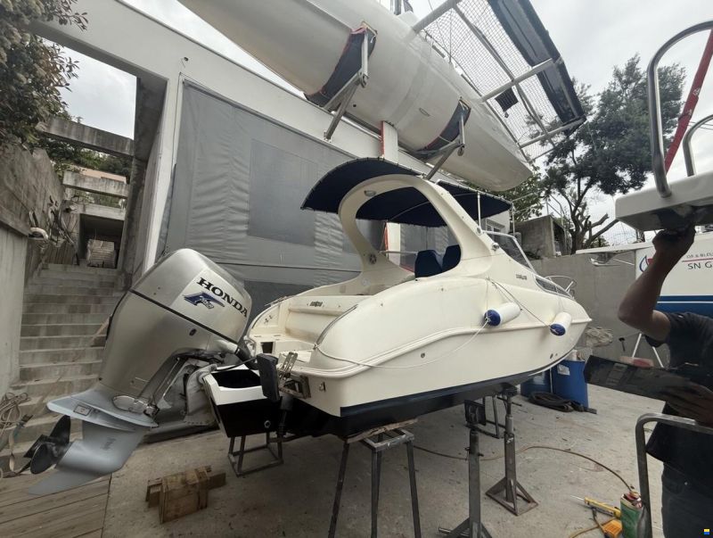 Salpa Laver 20.5