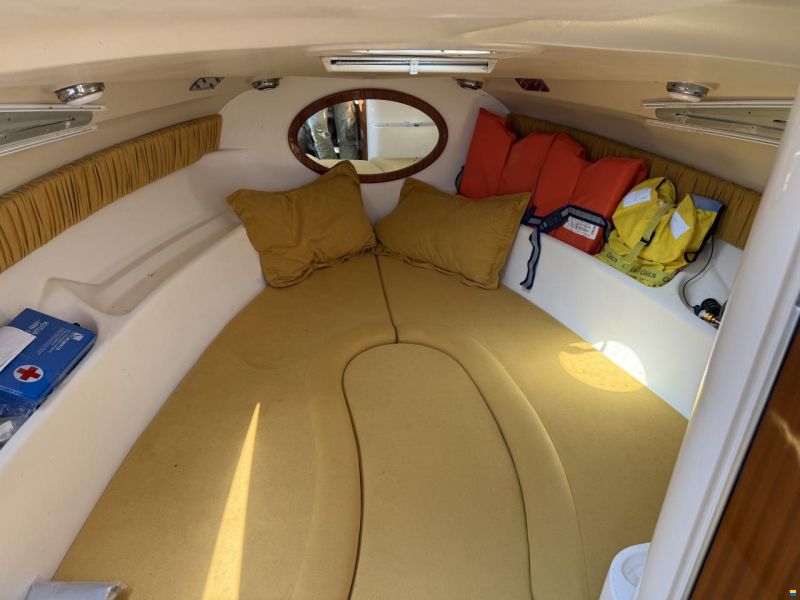 Salpa Laver 20.5