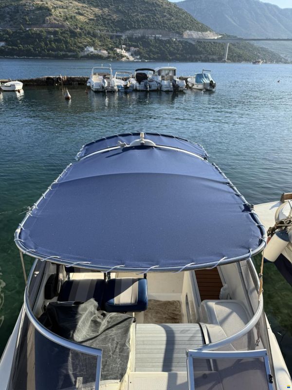Salpa Laver 20.5