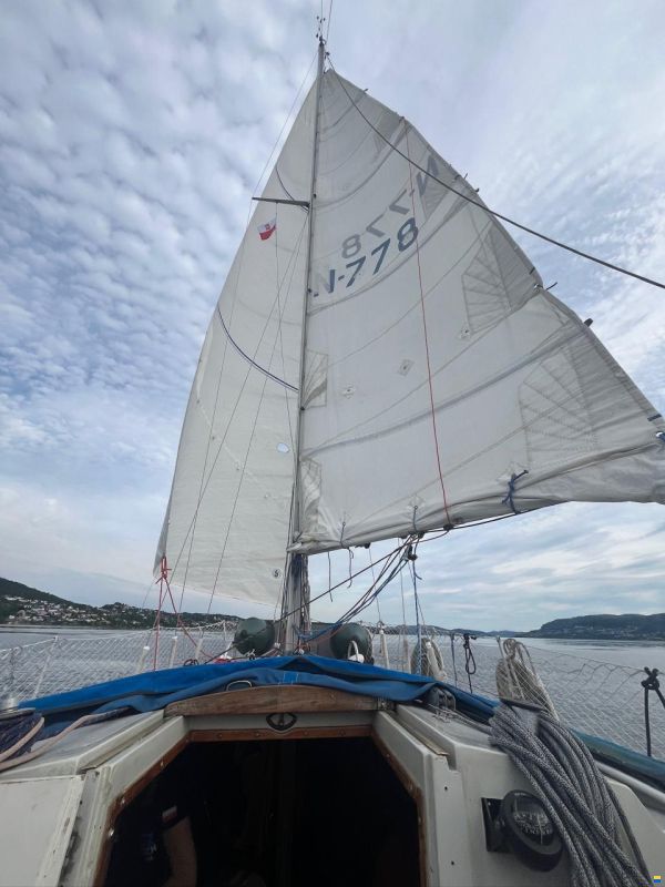 Mikkel 30