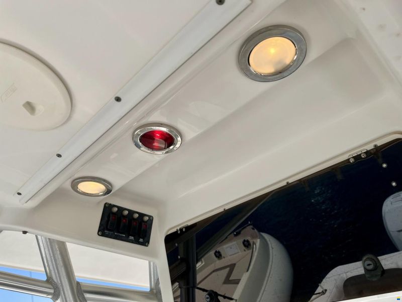 Boston Whaler 320 Outrage