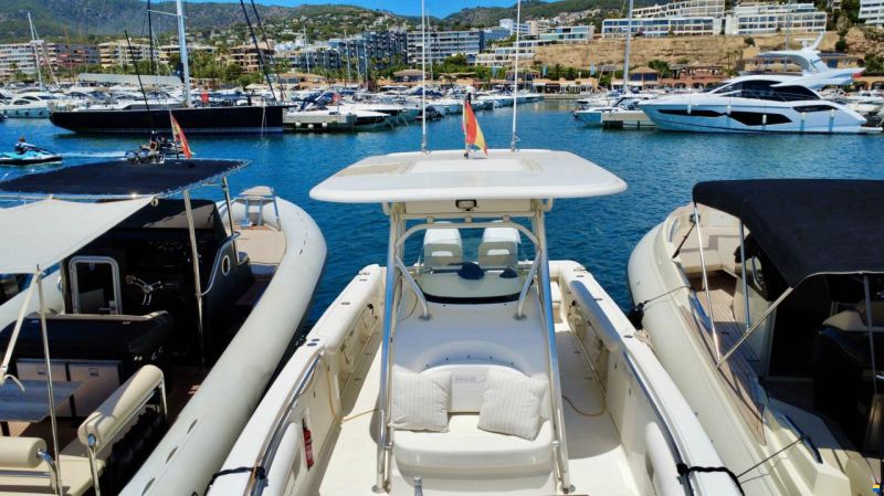 Boston Whaler 320 Outrage