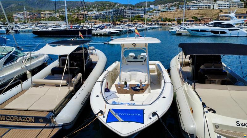 Boston Whaler 320 Outrage
