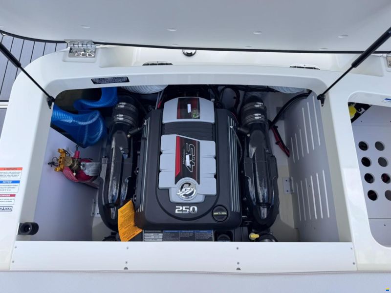 Sea Ray 190 SPX-R