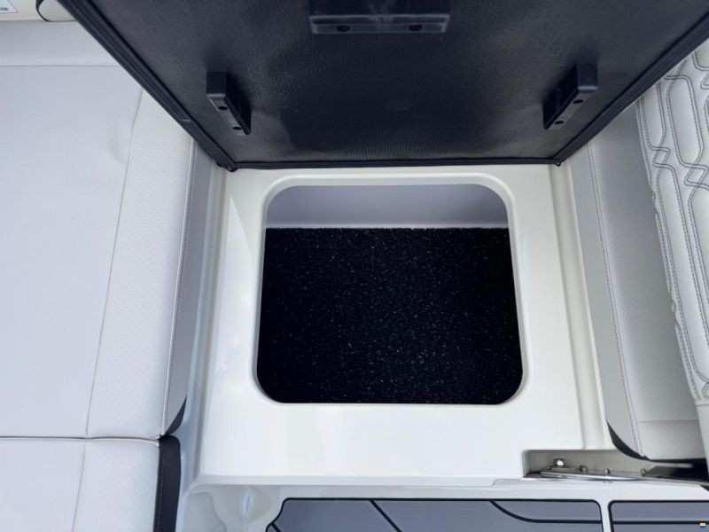 Sea Ray 190 SPX-R