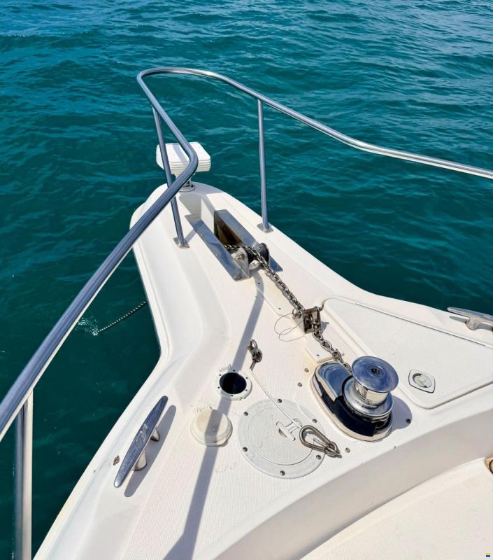 Sea Ray 460 Sundancer