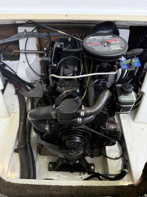 Glastron Motorboot Bowrider Gardasee